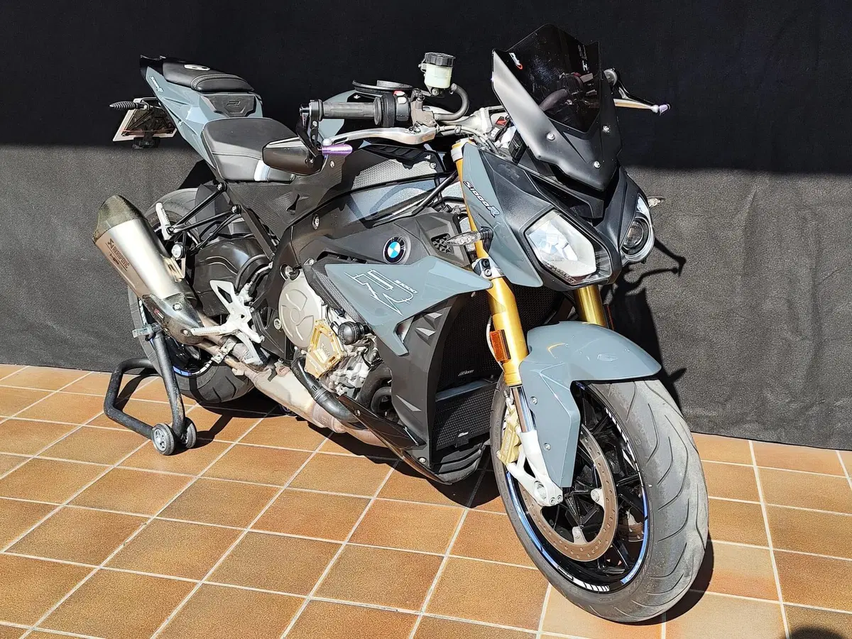 Bmw S 1000 R (2017 - 20) (9)