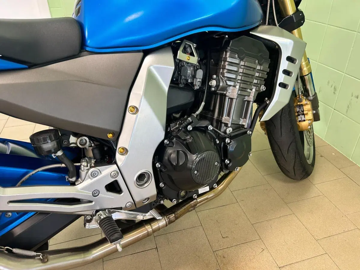 Kawasaki Z 1000 (2003 - 06) (7)