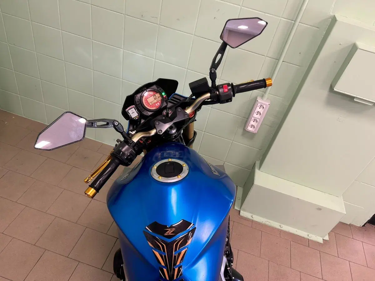 Kawasaki Z 1000 (2003 - 06) (8)