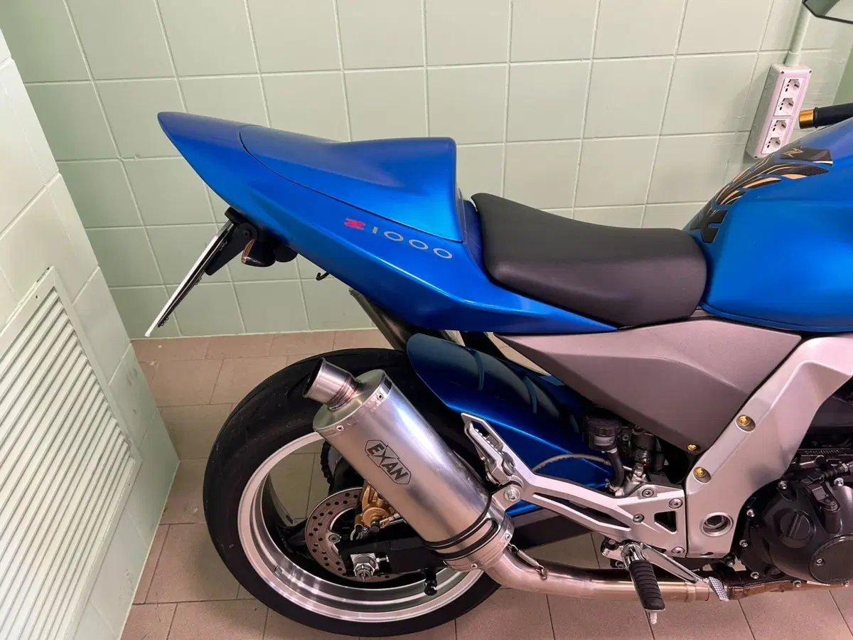 Kawasaki Z 1000 (2003 - 06) (10)