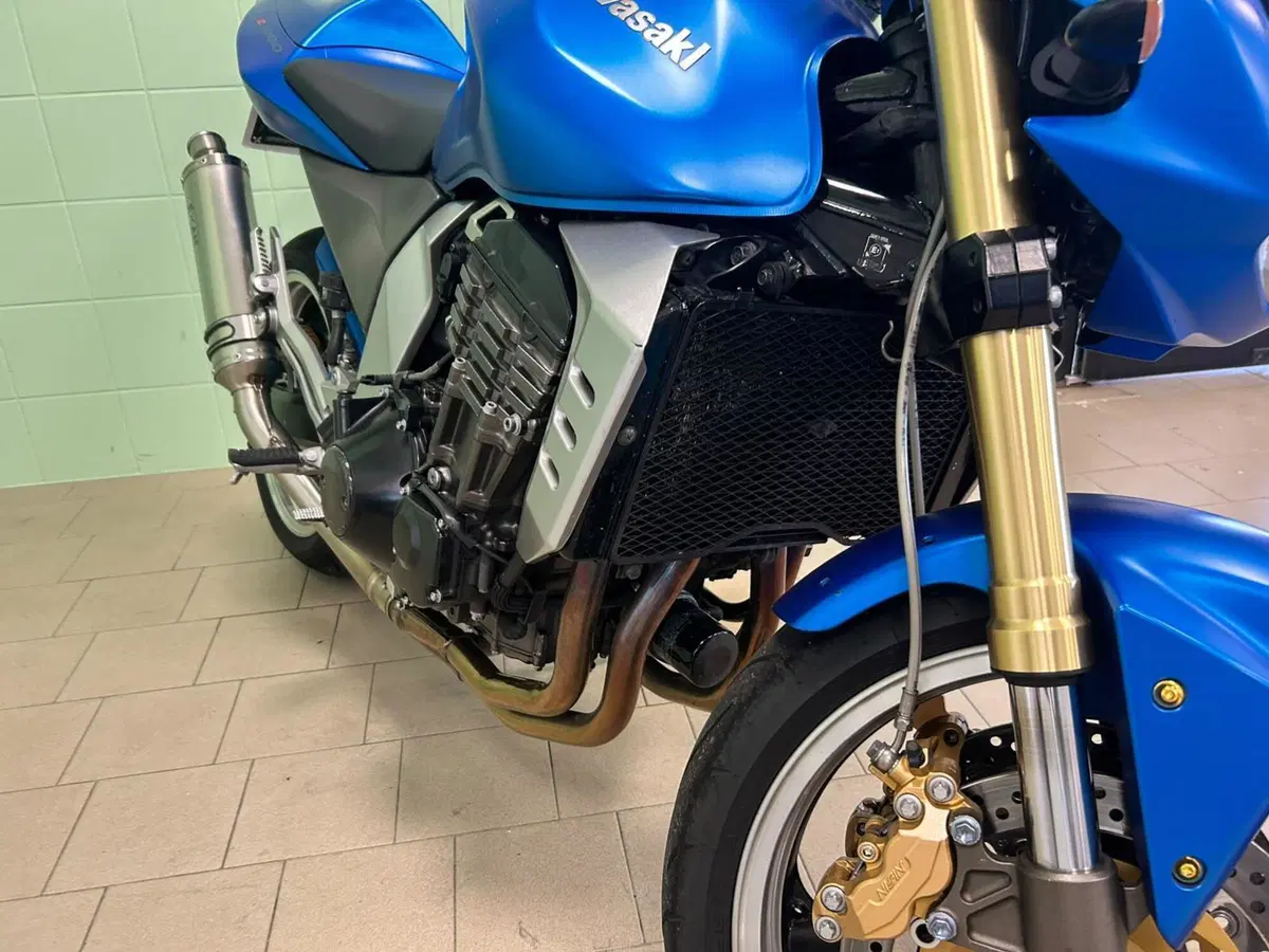 Kawasaki Z 1000 (2003 - 06) (16)