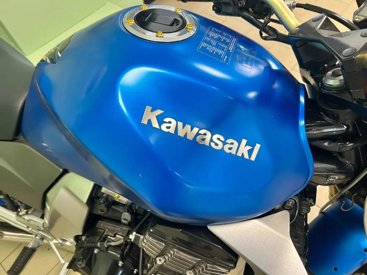 Kawasaki Z 1000 (2003 - 06) (17)
