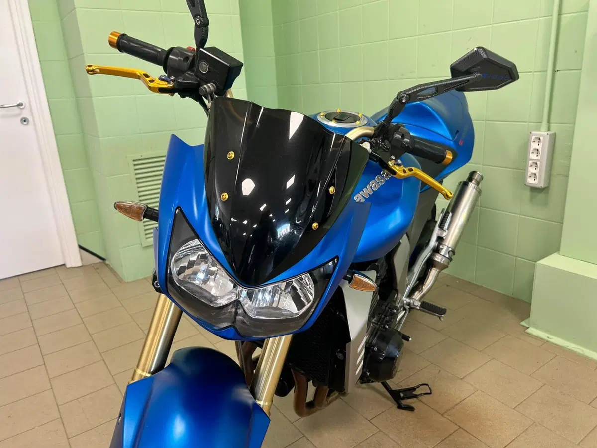 Kawasaki Z 1000 (2003 - 06) (18)