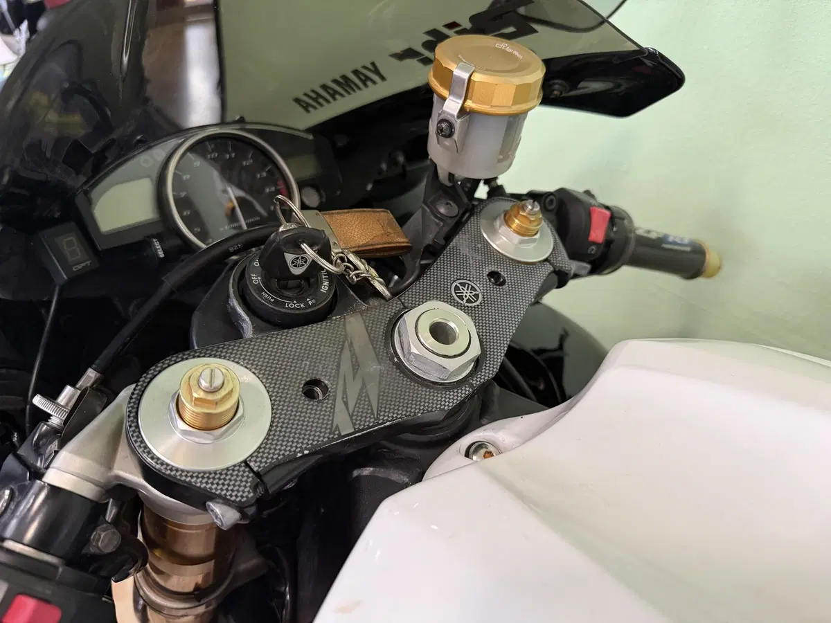 Yamaha YZF R1 (2006 - 07) (9)