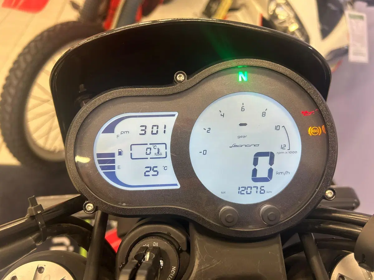 Benelli Leoncino 500 ABS (2017 - 20) (3)