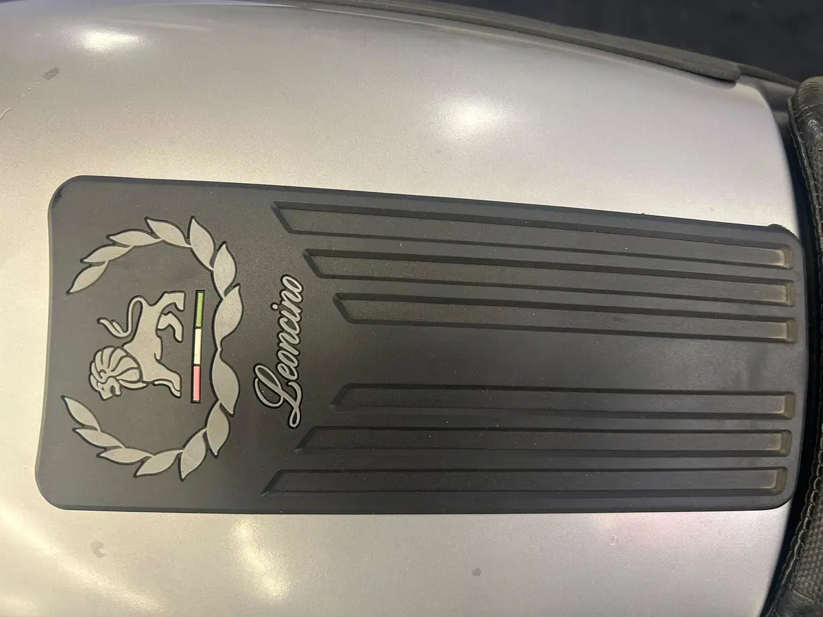 Benelli Leoncino 500 ABS (2017 - 20) (4)