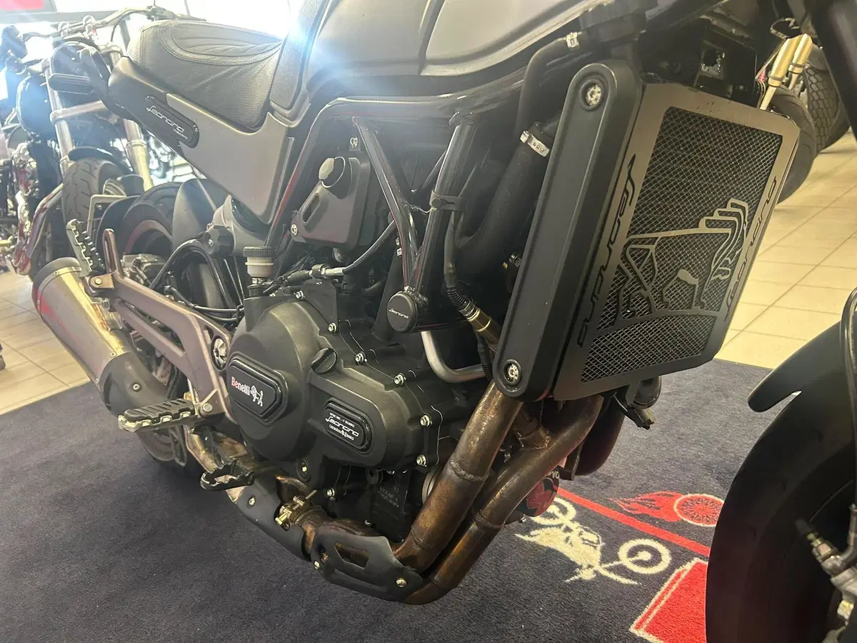 Benelli Leoncino 500 ABS (2017 - 20) (7)