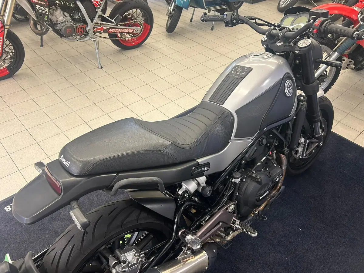 Benelli Leoncino 500 ABS (2017 - 20) (10)