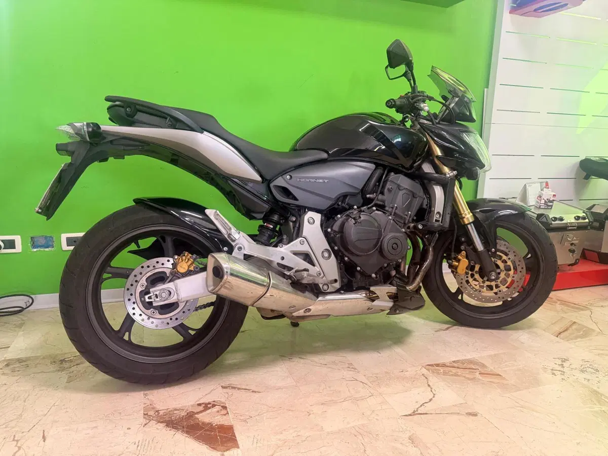 Honda Hornet 600 (2007 - 10) (2)