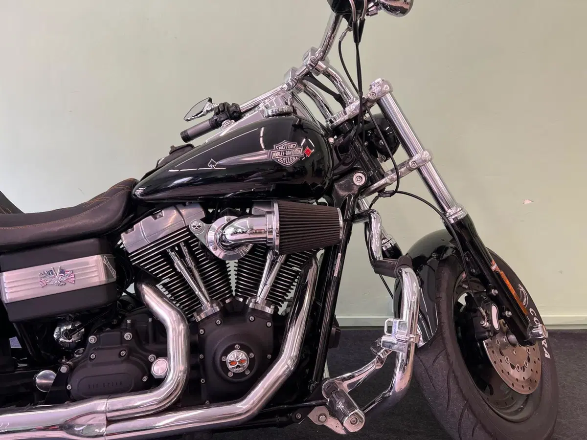 Harley-Davidson 1584 Fat Bob (2007 - 13) - FXDF (2)