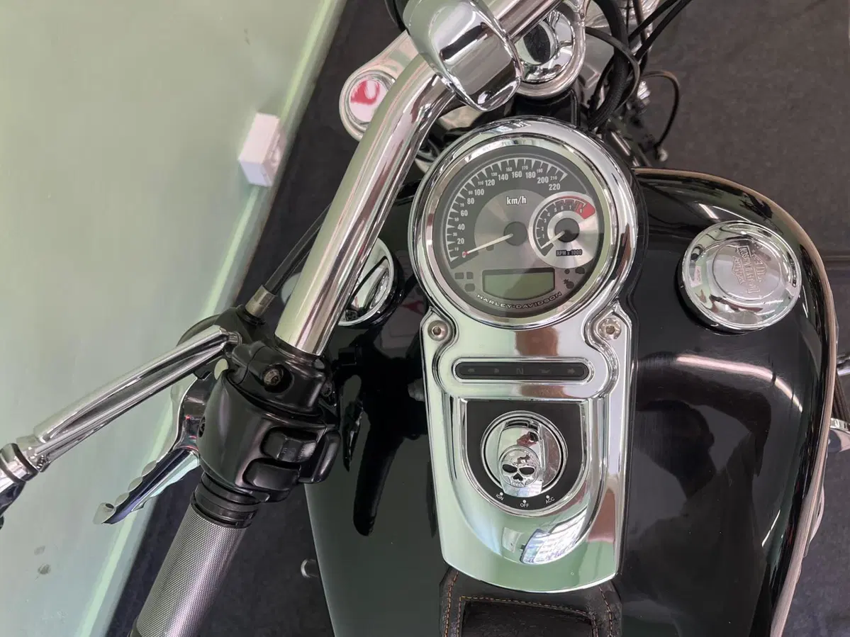 Harley-Davidson 1584 Fat Bob (2007 - 13) - FXDF (6)