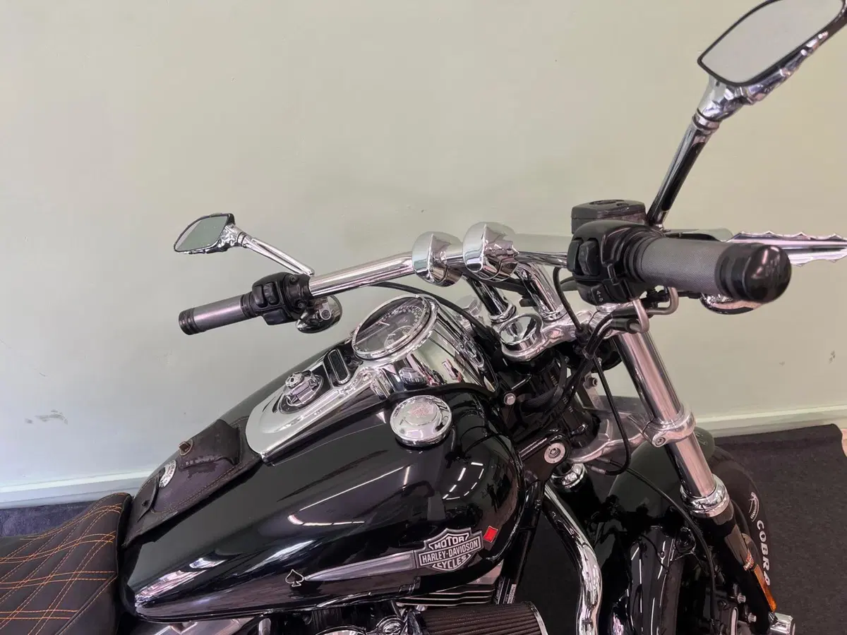 Harley-Davidson 1584 Fat Bob (2007 - 13) - FXDF (7)