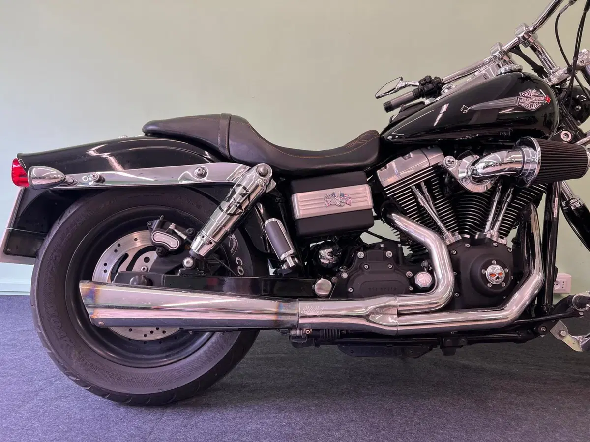 Harley-Davidson 1584 Fat Bob (2007 - 13) - FXDF (14)