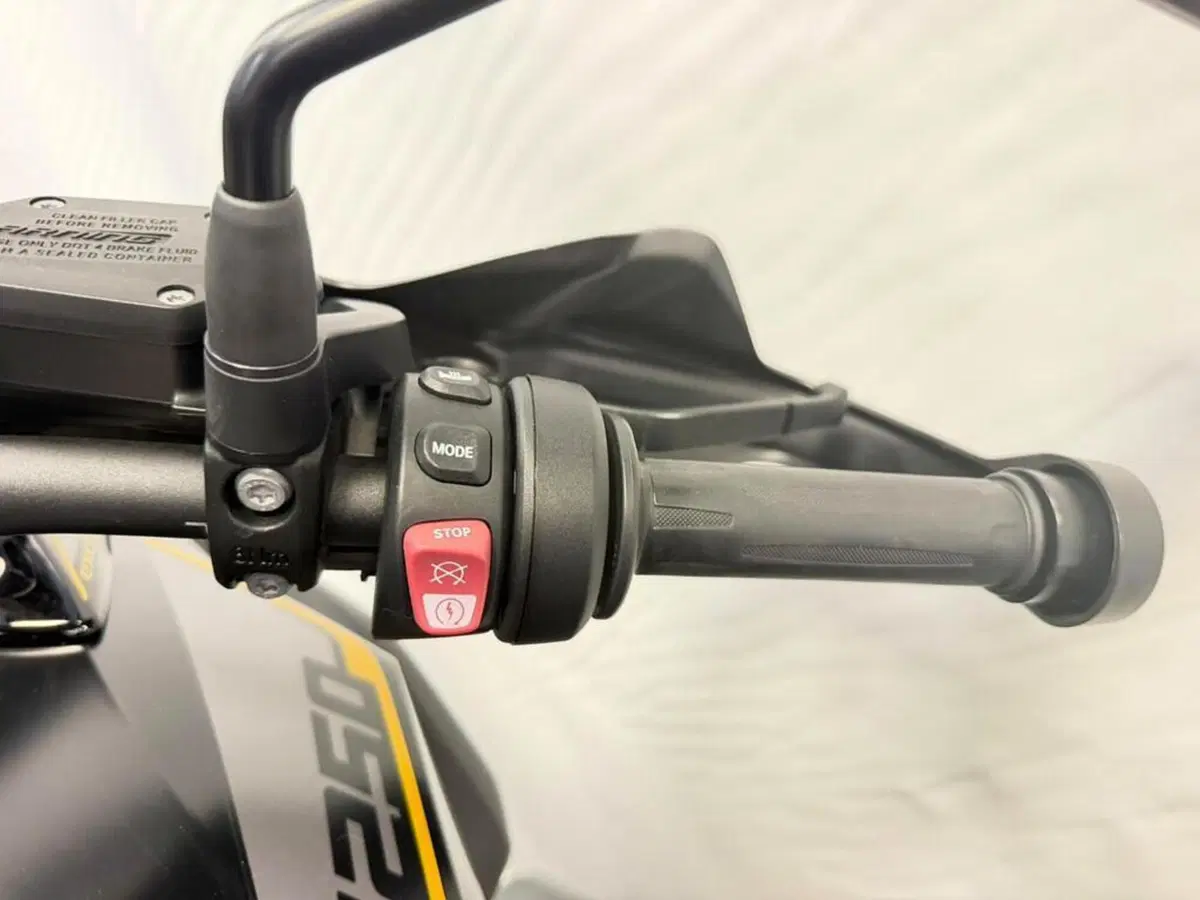 Bmw R 1250 GS (2019 - 20) (10)
