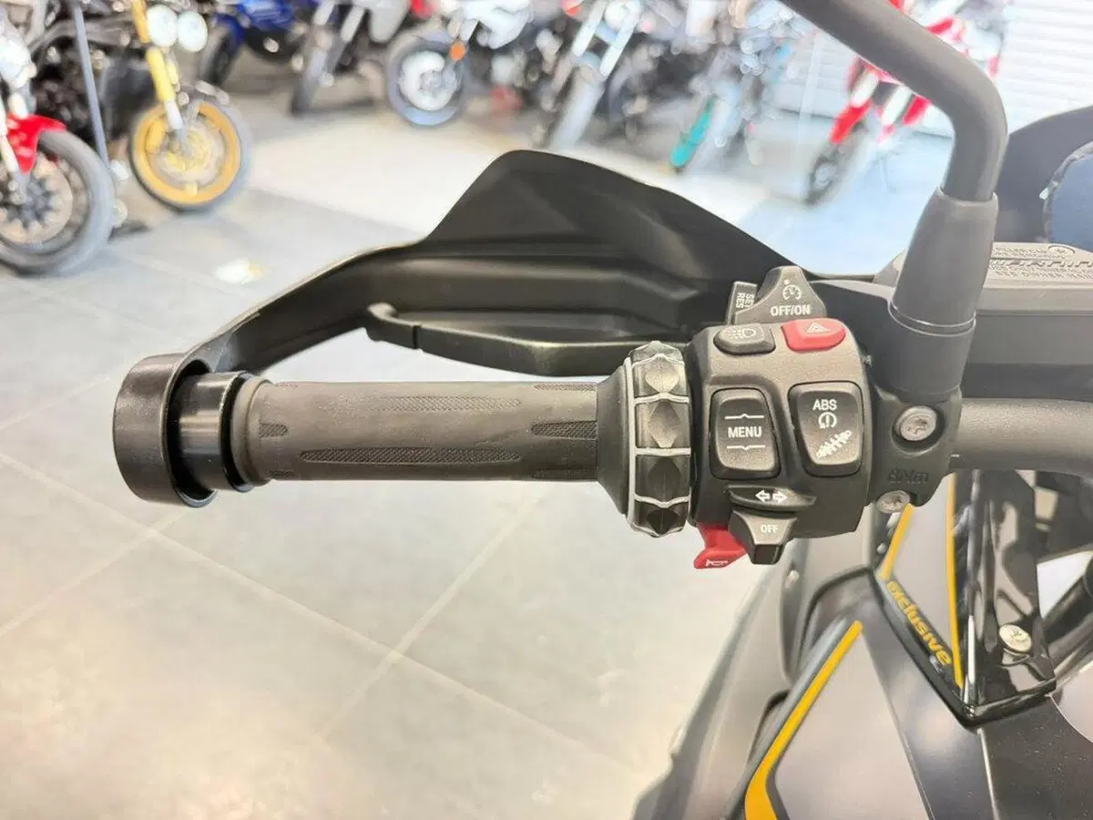 Bmw R 1250 GS (2019 - 20) (8)