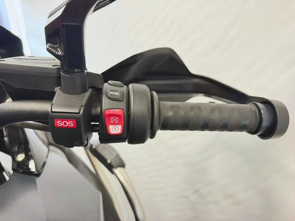 Bmw R 1250 GS (2021 - 24) (8)