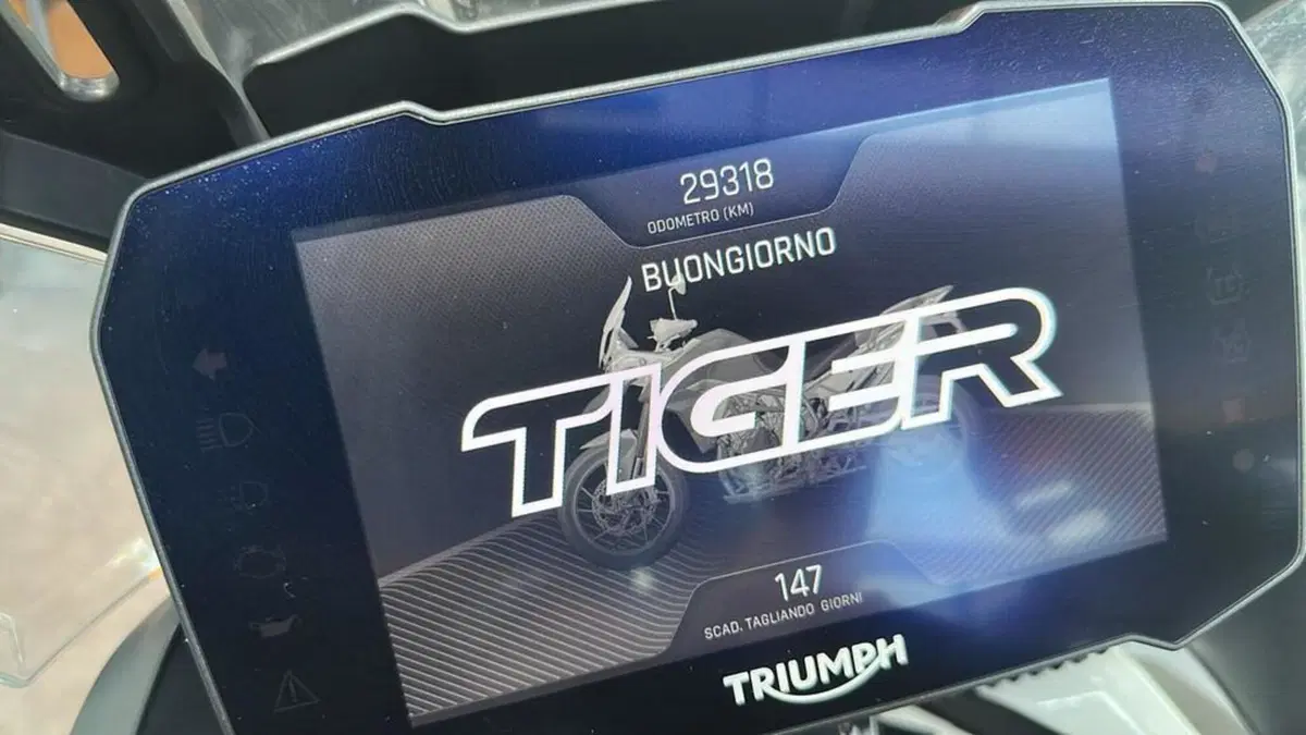 Triumph Tiger 900 GT Pro (2020 - 23) (9)
