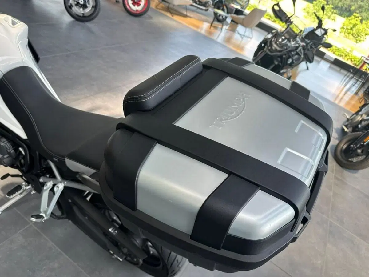 Triumph Tiger 900 GT Pro (2020 - 23) (6)