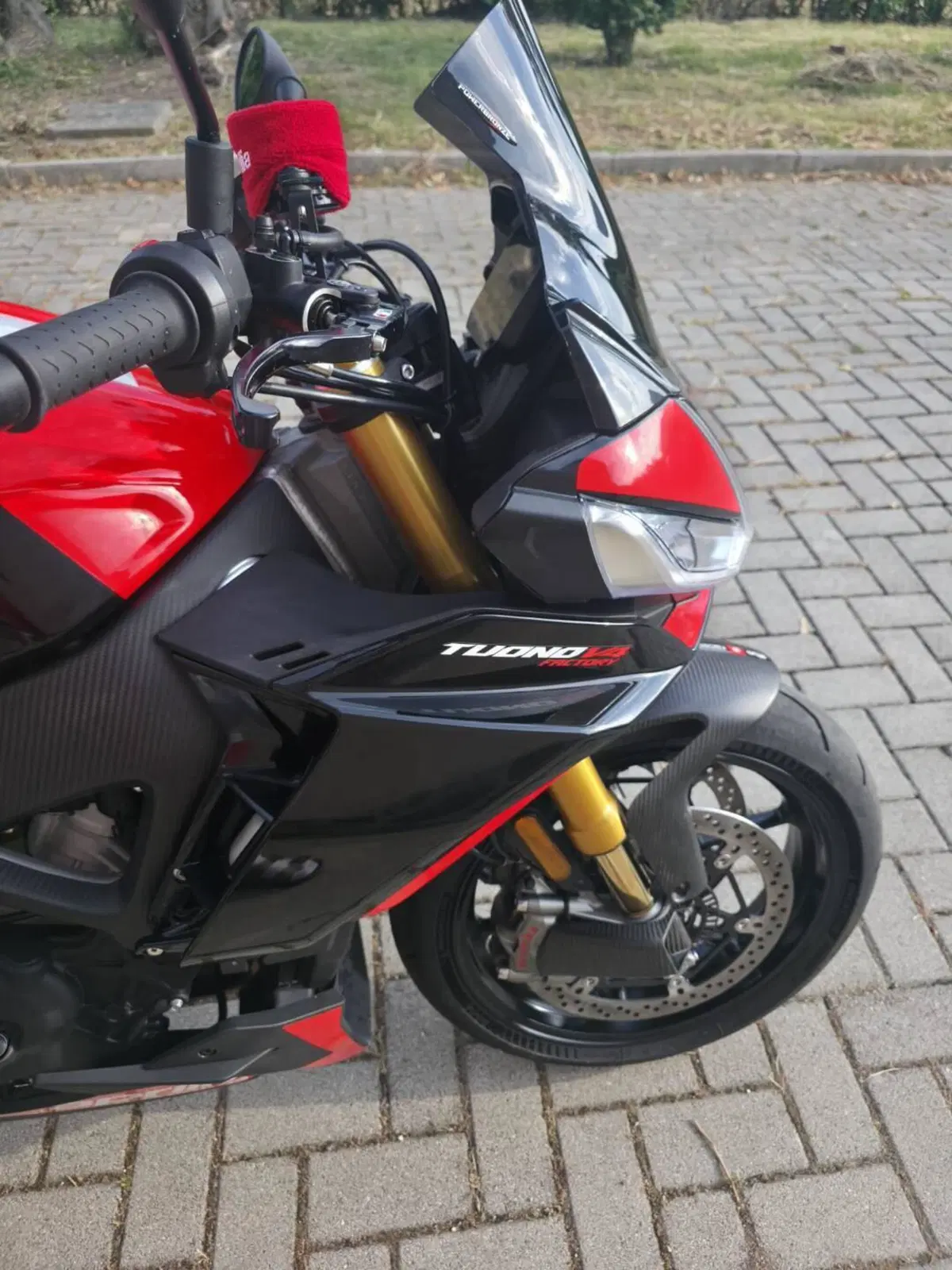 Aprilia Tuono V4 Factory SE-09 SBK (2024) (2)