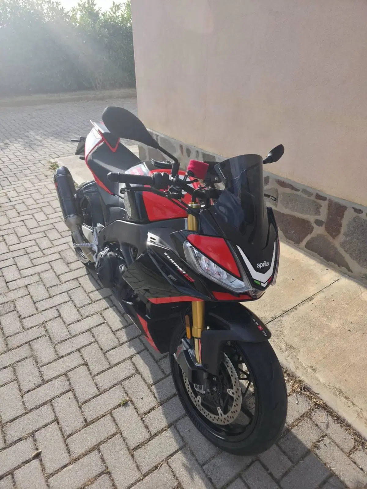 Aprilia Tuono V4 Factory SE-09 SBK (2024) (6)