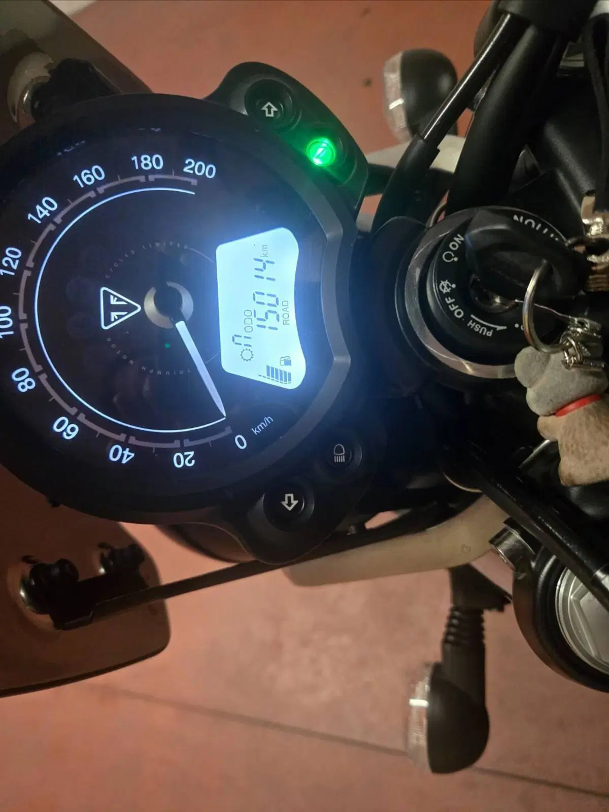Triumph Speed Twin 900 (2023 - 24) (3)