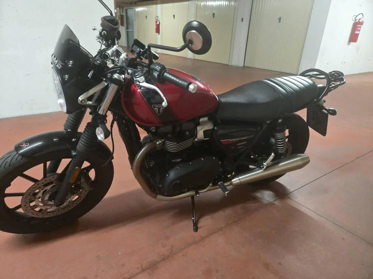 Triumph Speed Twin 900 (2023 - 24) (6)