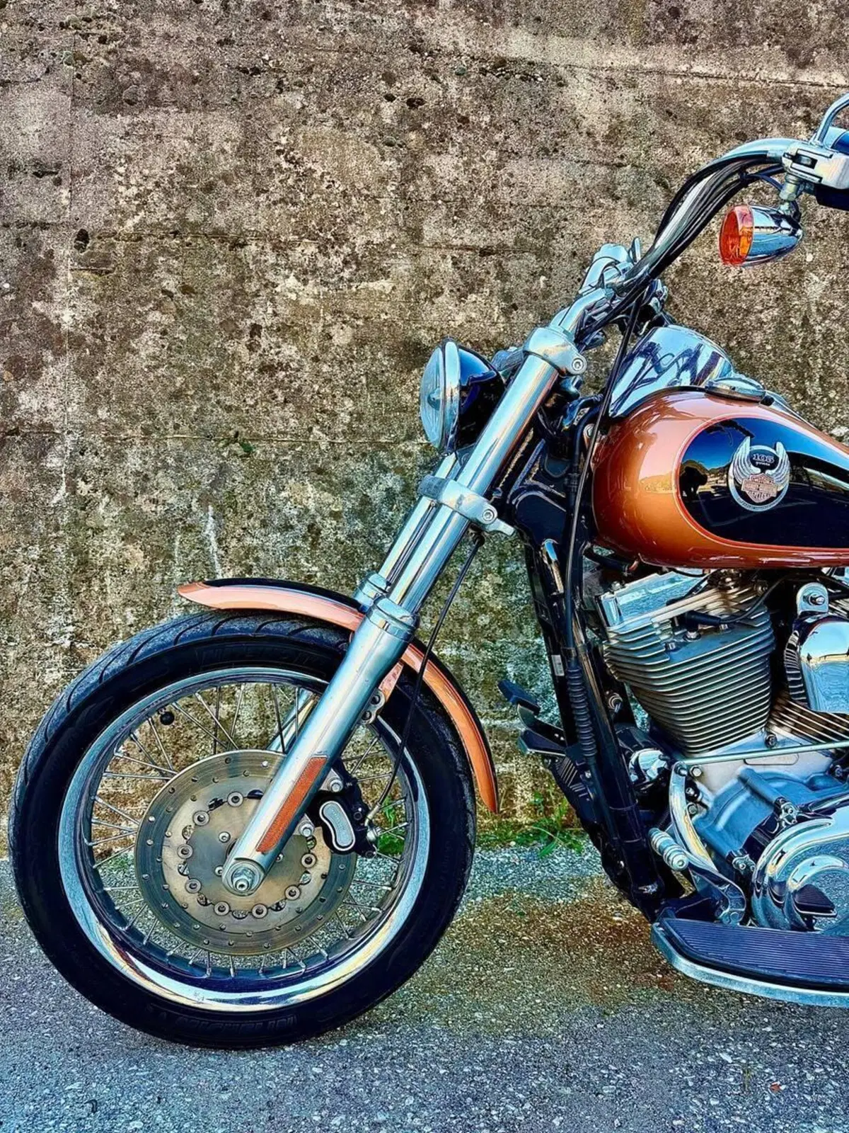 Harley-Davidson 1584 Super Glide Custom (2008 - 13) - FXDC (9)