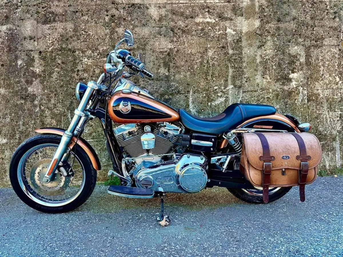 Harley-Davidson 1584 Super Glide Custom (2008 - 13) - FXDC (5)