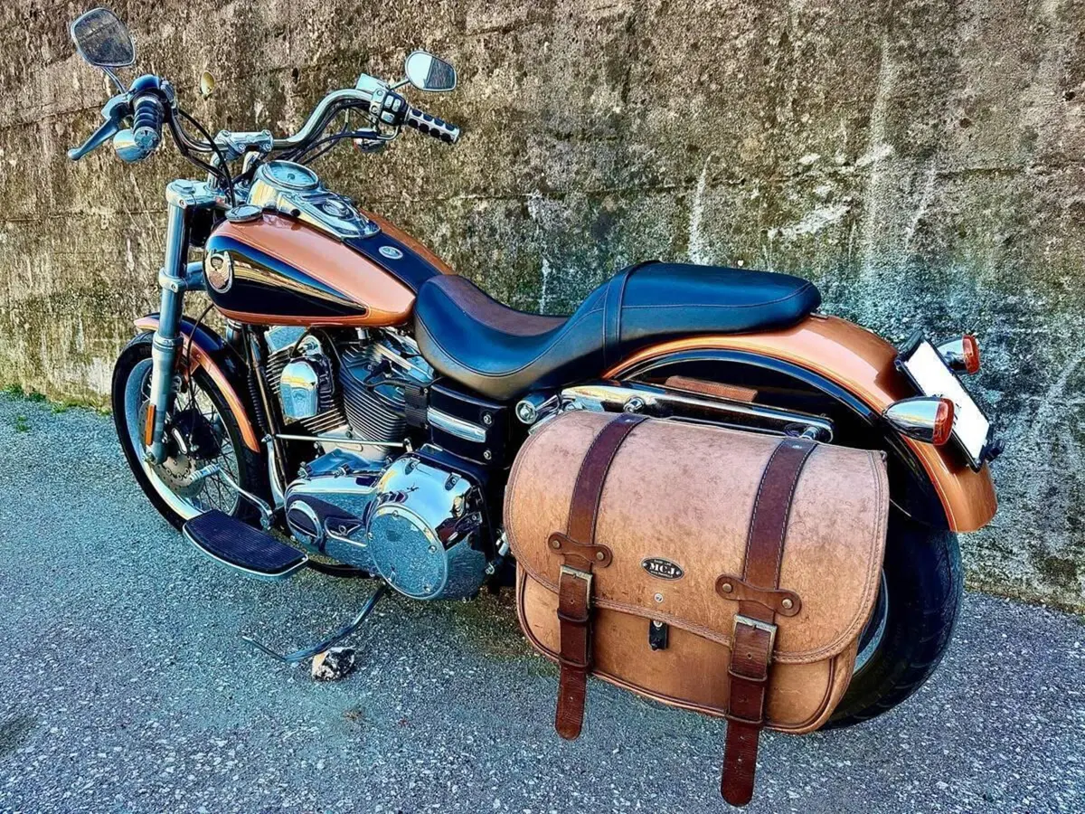 Harley-Davidson 1584 Super Glide Custom (2008 - 13) - FXDC (6)