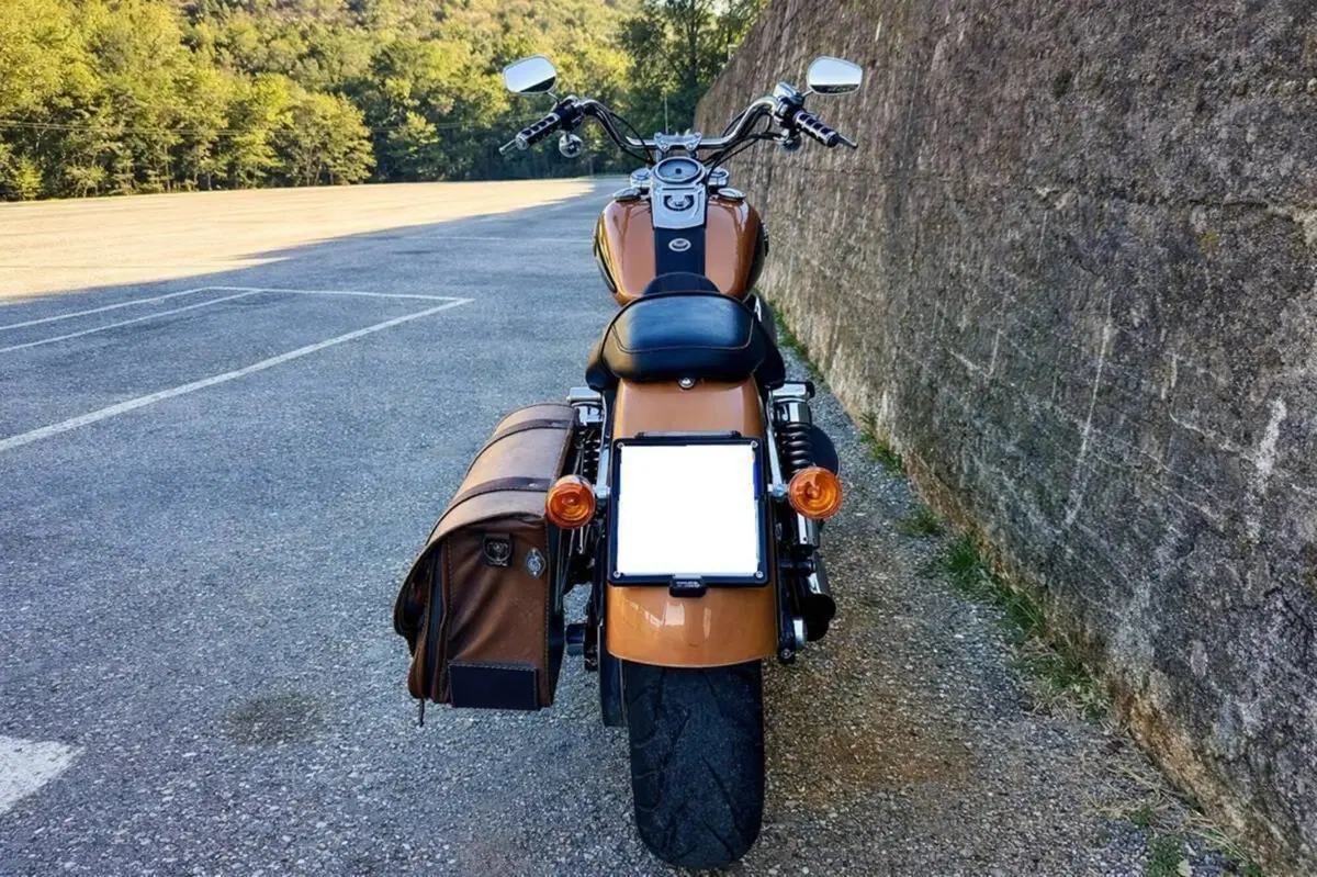 Harley-Davidson 1584 Super Glide Custom (2008 - 13) - FXDC (7)