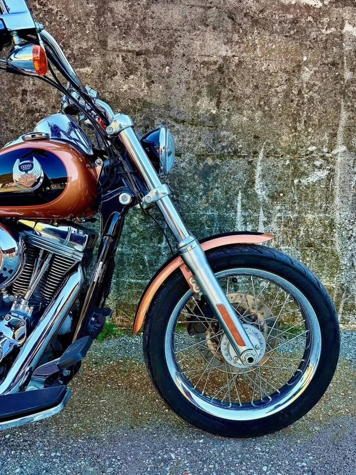 Harley-Davidson 1584 Super Glide Custom (2008 - 13) - FXDC (15)