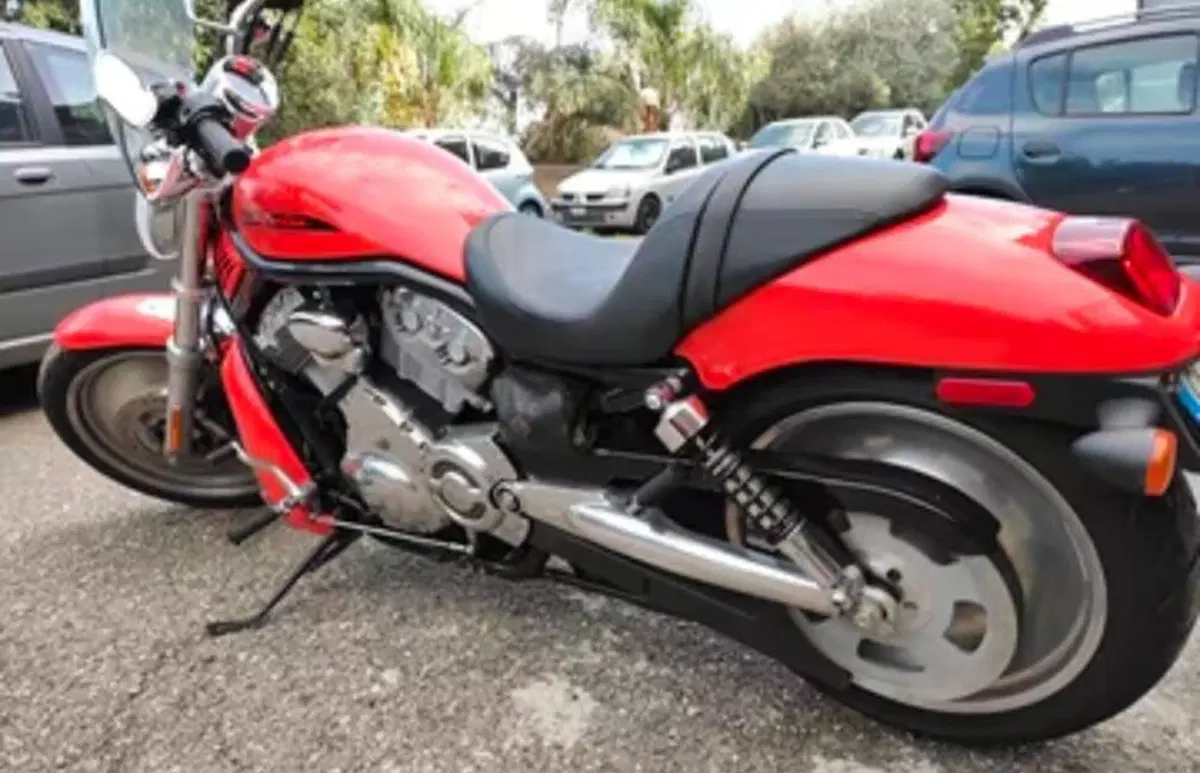 Harley-Davidson 1130 V-Rod (2002 - 05) - VRSCA (2)