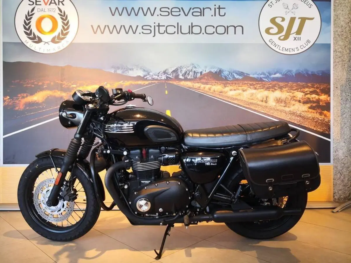 Triumph Bonneville T100 Black (2017 - 20) (7)