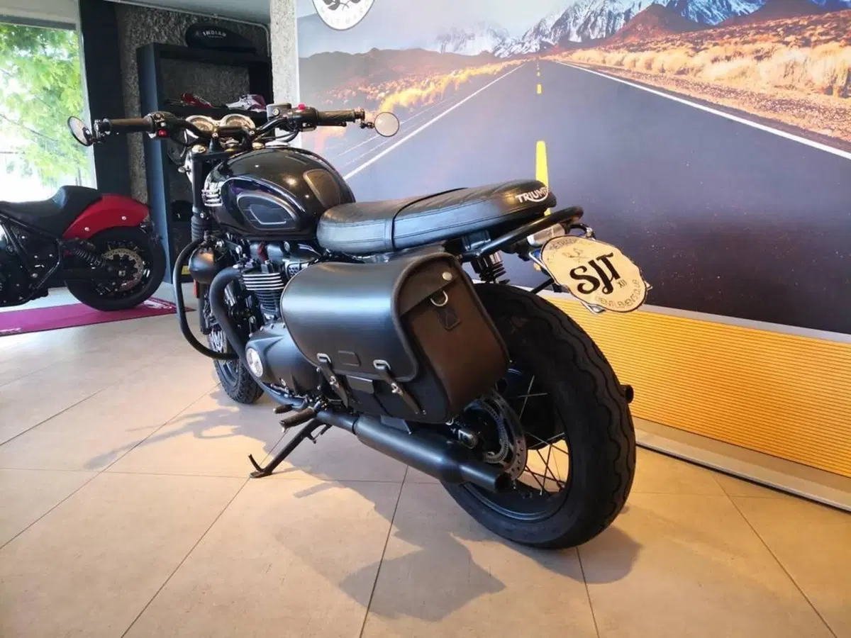 Triumph Bonneville T100 Black (2017 - 20) (8)