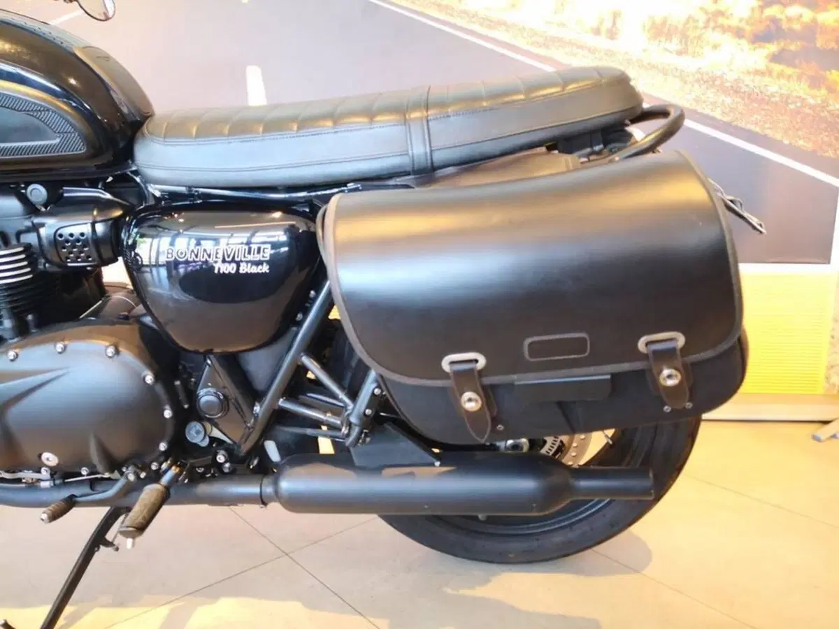 Triumph Bonneville T100 Black (2017 - 20) (9)