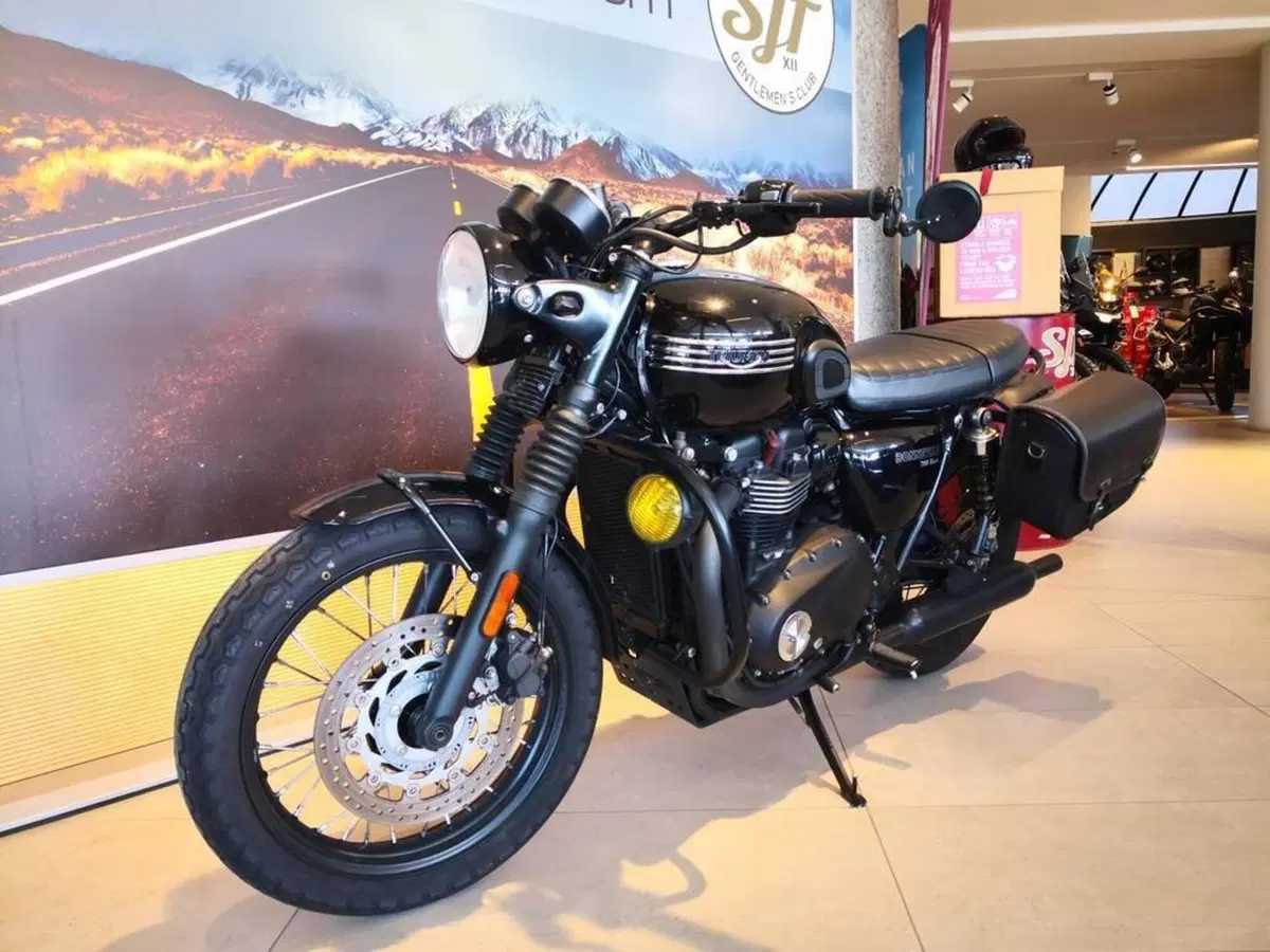 Triumph Bonneville T100 Black (2017 - 20) (11)