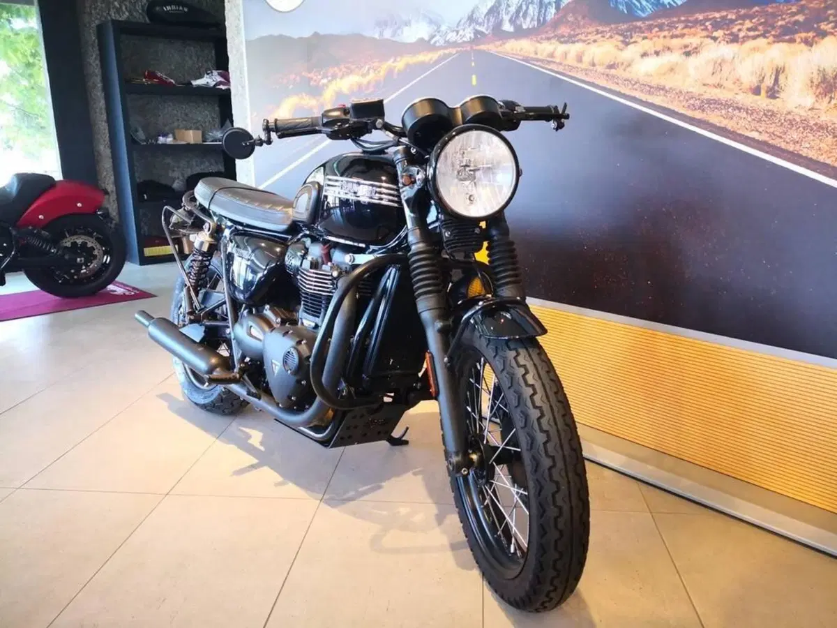 Triumph Bonneville T100 Black (2017 - 20) (3)