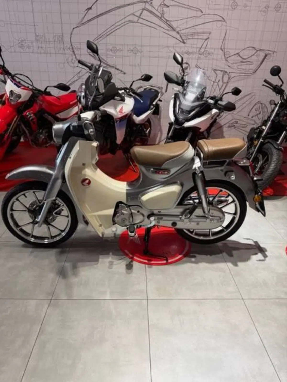 Honda Super Cub C125 (2022 - 26) (5)