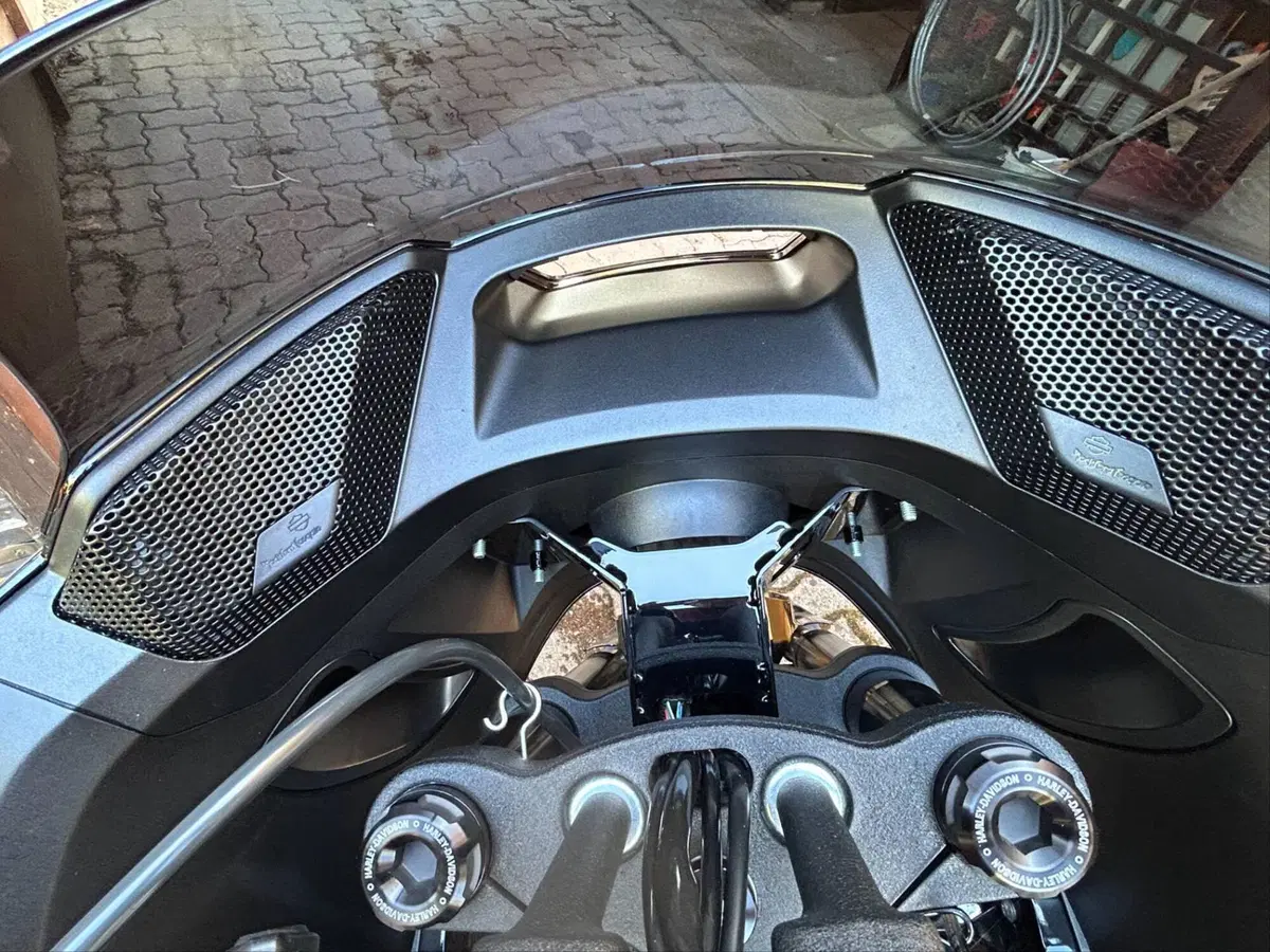 Harley-Davidson Low Rider ST (2022 - 24) (6)