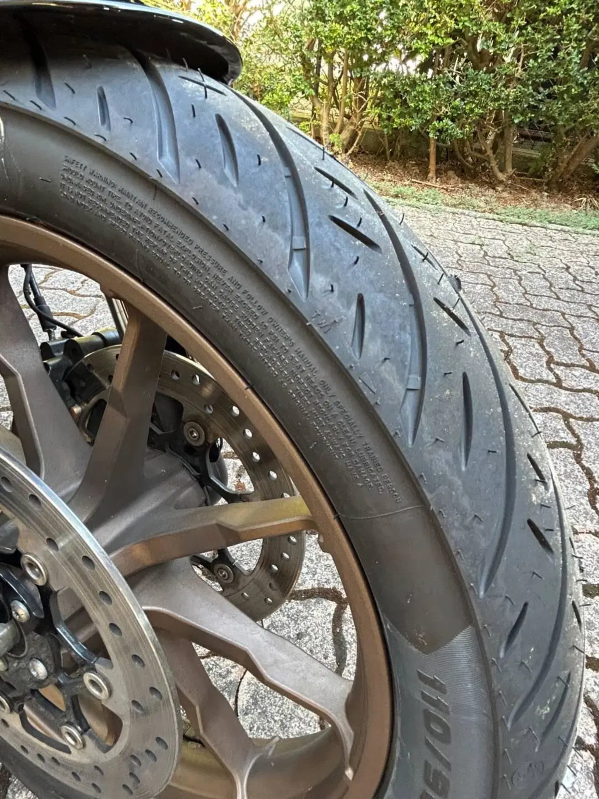 Harley-Davidson Low Rider ST (2022 - 24) (10)