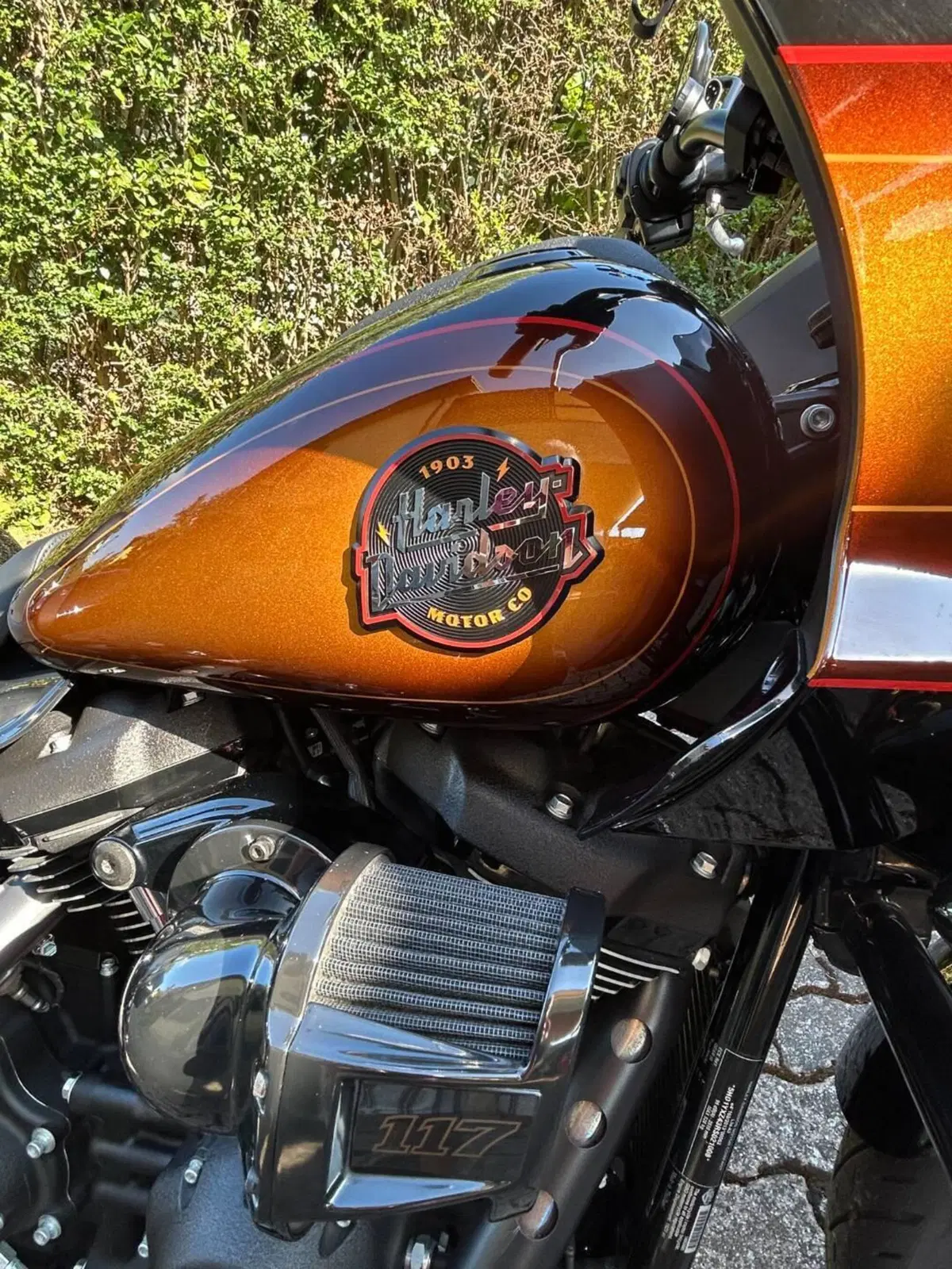 Harley-Davidson Low Rider ST (2022 - 24) (11)