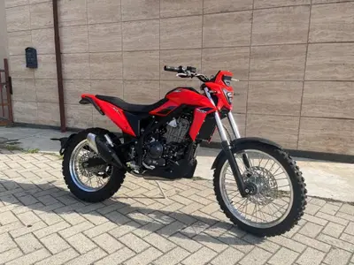 Betamotor Alp 4.0 (2024 - 26) usata