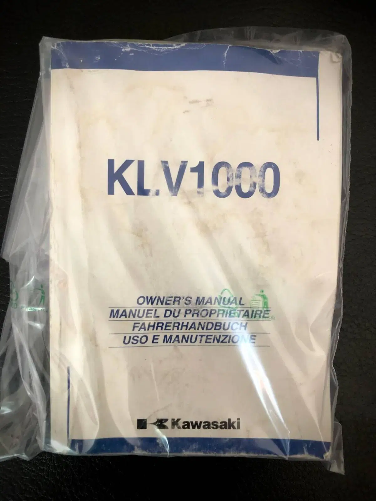Kawasaki KLV 1000 (4)