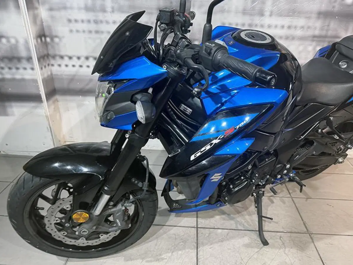 Suzuki GSX S 750 Yugen (2018 - 20) (5)
