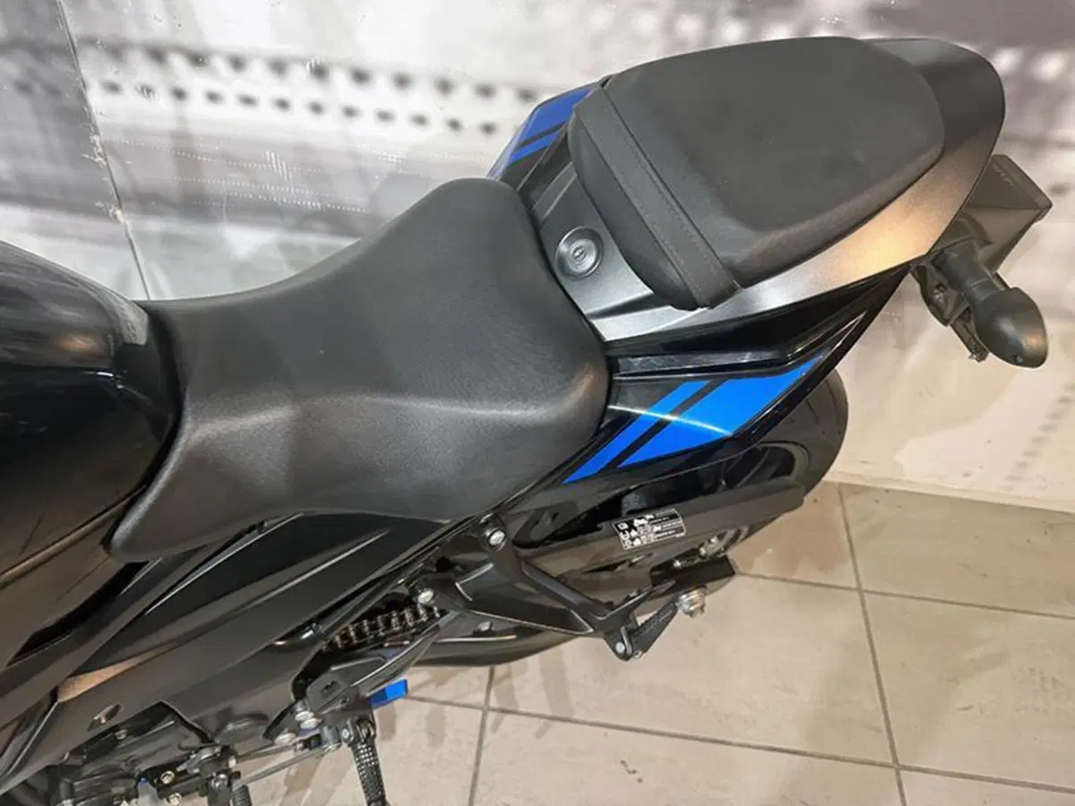 Suzuki GSX S 750 Yugen (2018 - 20) (6)