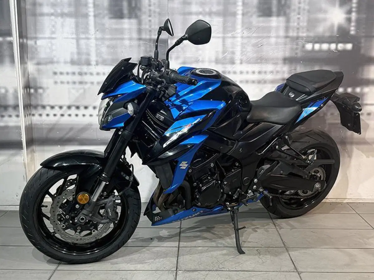 Suzuki GSX S 750 Yugen (2018 - 20) (7)