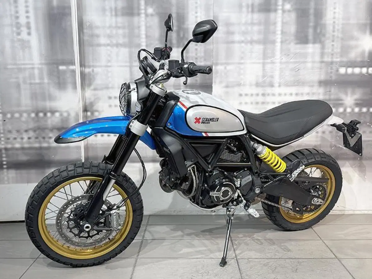 Ducati Scrambler 800 Desert Sled (2021 - 22) (7)