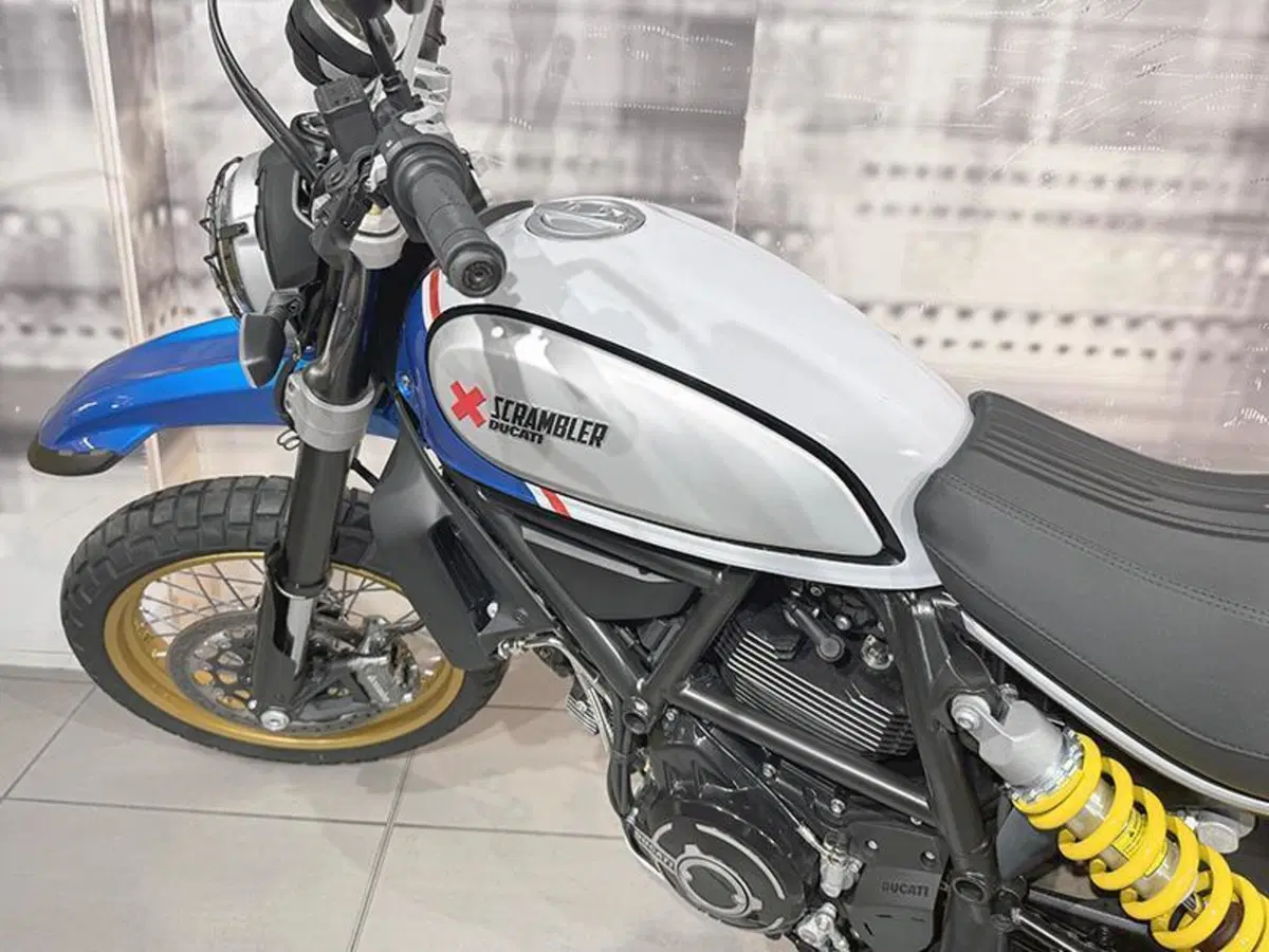 Ducati Scrambler 800 Desert Sled (2021 - 22) (9)