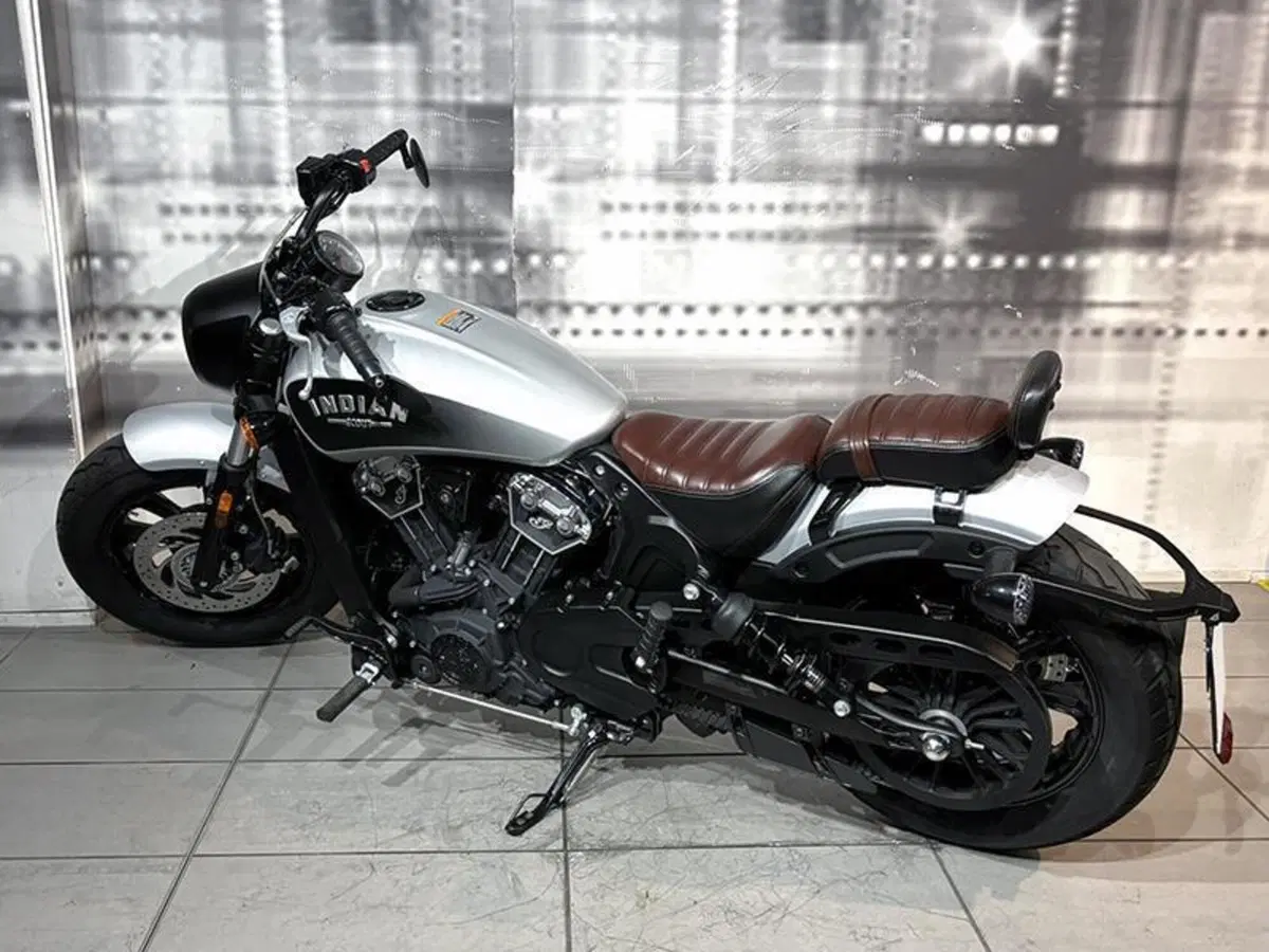 Indian Scout 1133 (2017 - 19) (2)