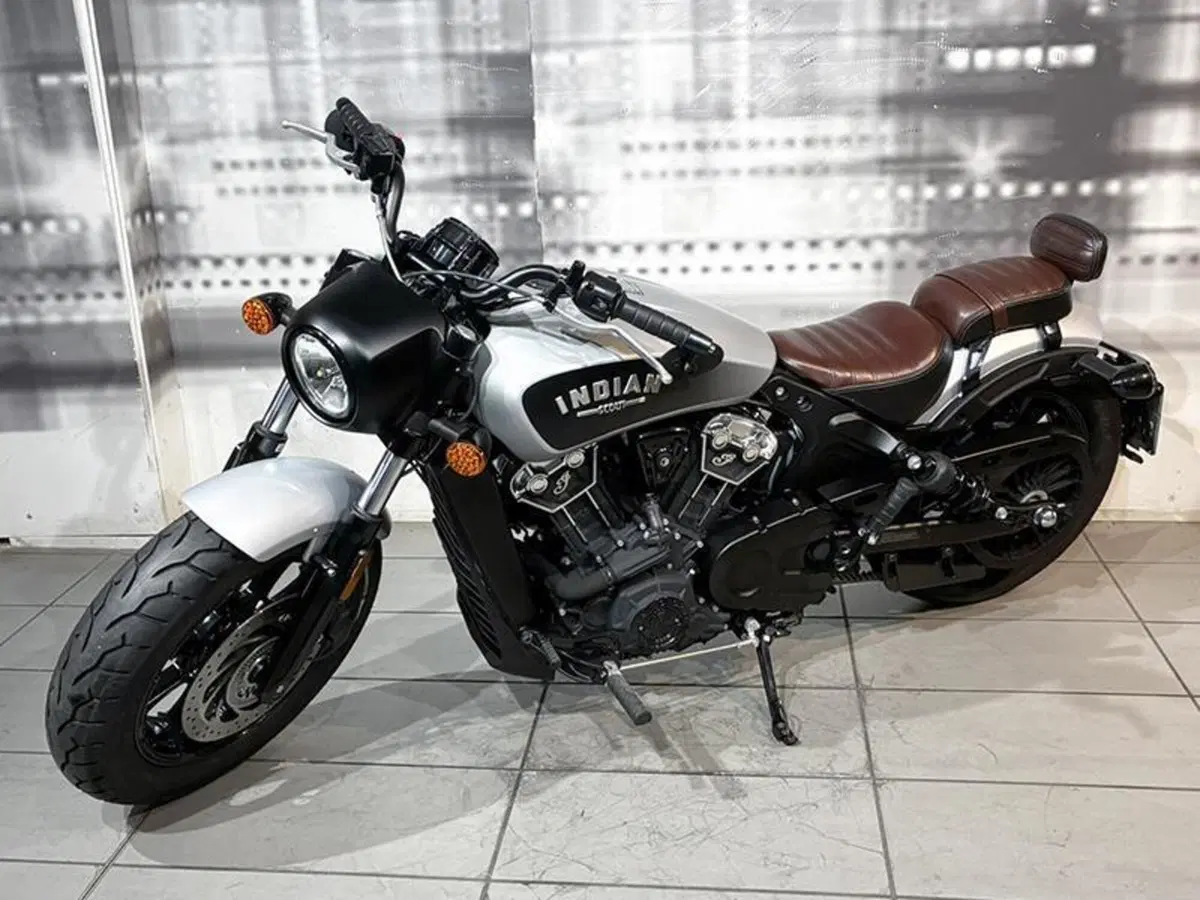 Indian Scout 1133 (2017 - 19) (3)